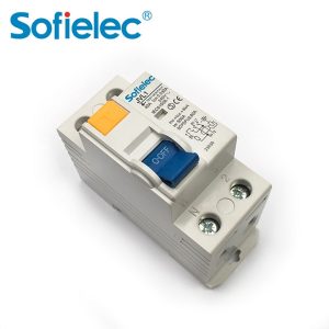 40A 2Pole 100MA Earth Leakage Circuit Breaker